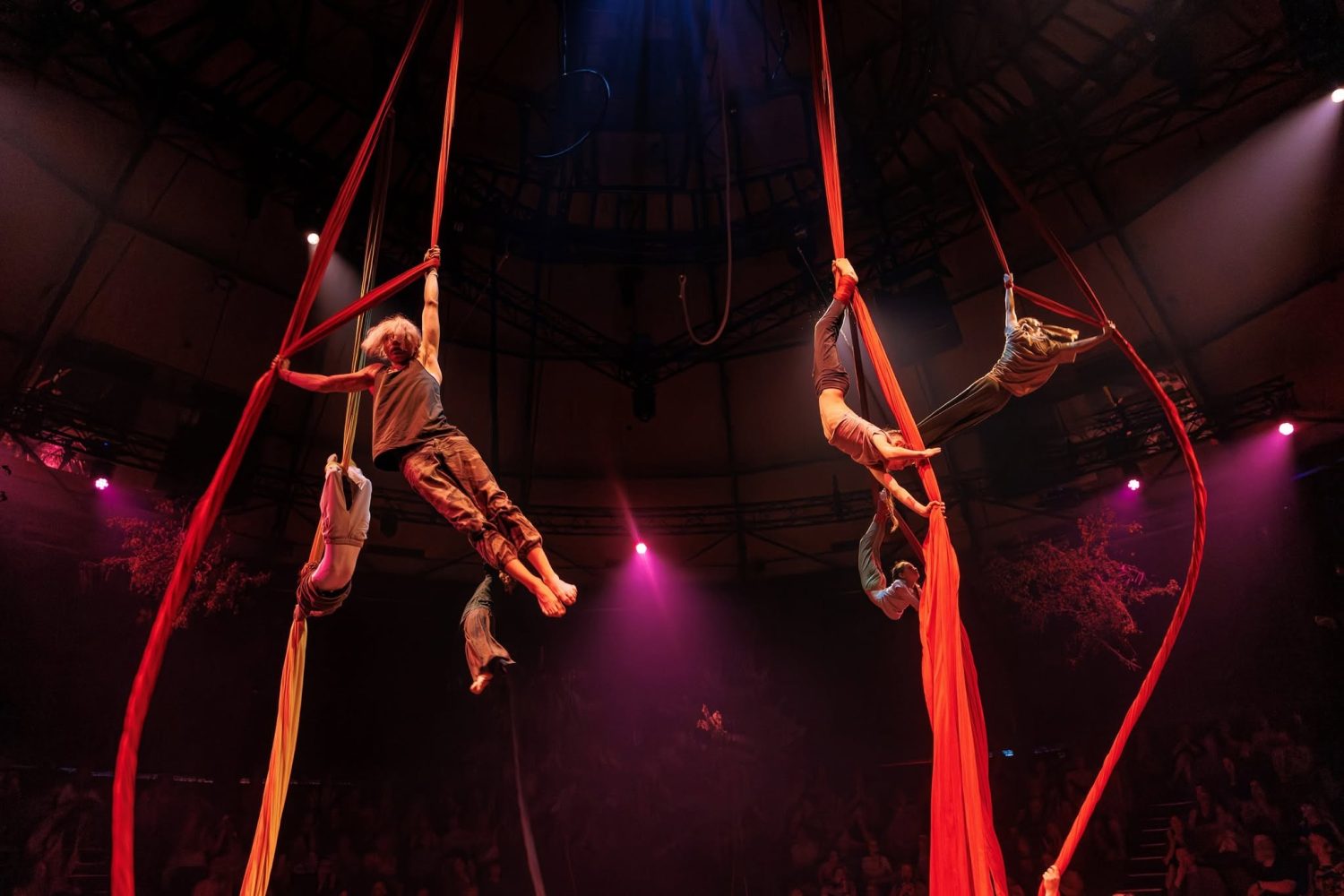 RIGA CIRCUS SCHOOL TO IMPLEMENT A SOCIAL CIRCUS PROJECT FOR CHILDREN