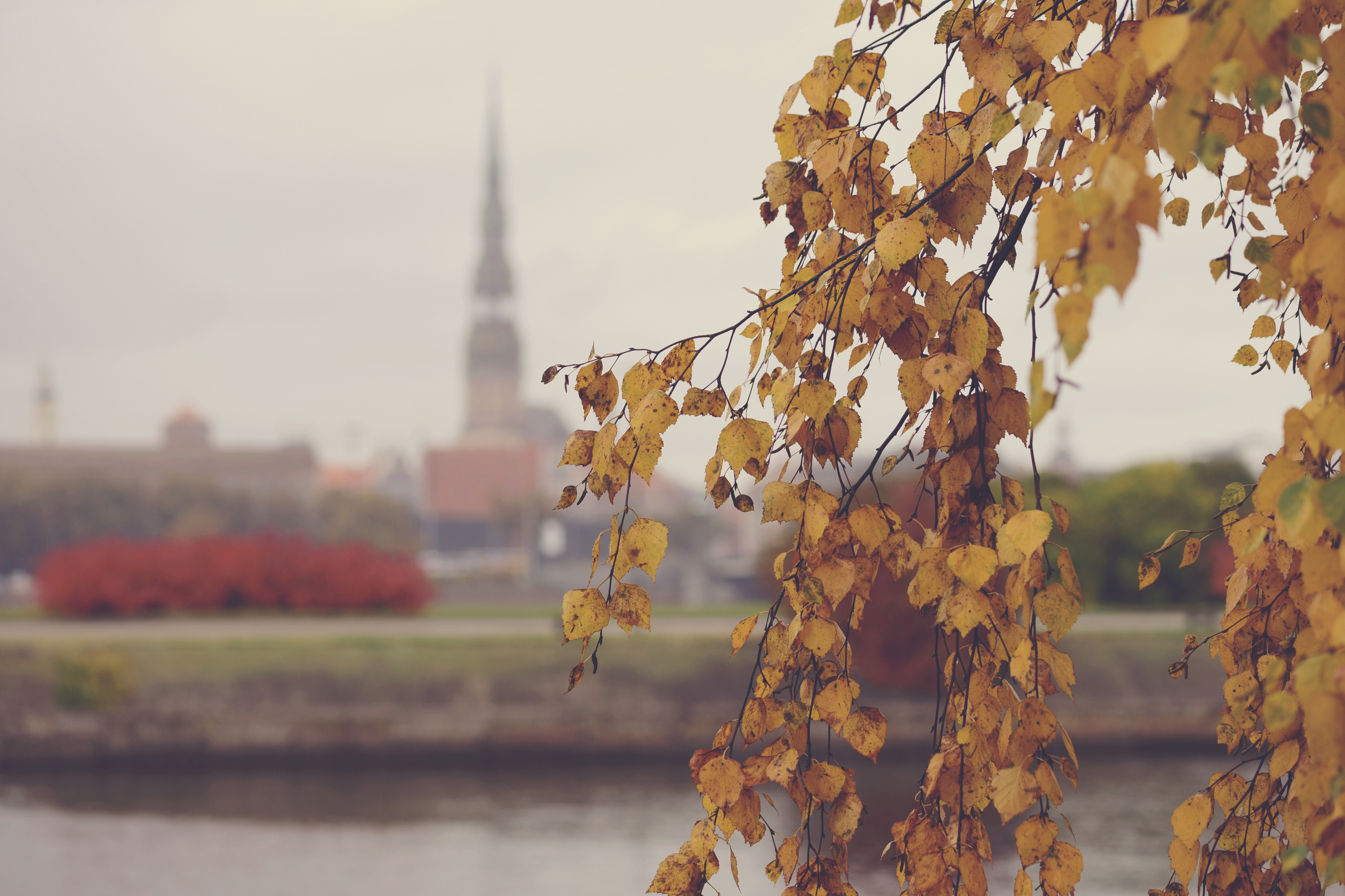 Kā pārziemot Latvijā: rudens sākums, gaismas meklējumi un siltums sirdī