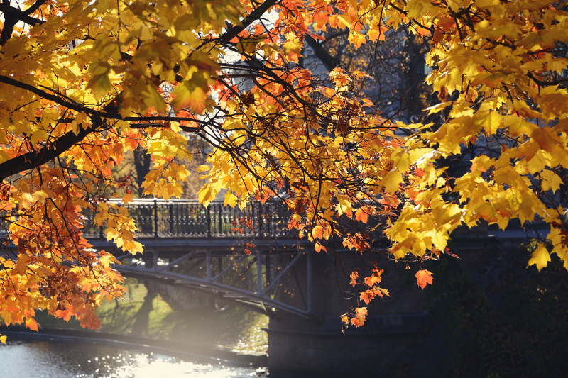Riga Neighborhoods Through the Lens: Photo Walks for International Students Photowalk No 7. – Ziepniekkalns